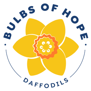 Cancer Society Bulbs of Hope - Daffodil Bulbs