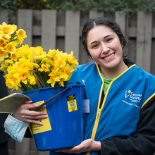 Load image into Gallery viewer, Fresh Daffodils (bunch of 25)